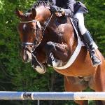 Comte