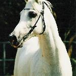 Hanower
