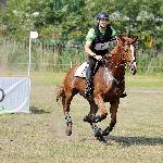 Hoover - Festiwal Jeździecki Baborówko 2014<br />&copy; Baza Koni