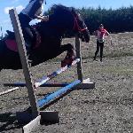 Frega - Skoki<br />&copy; Alicja