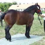 Elza - Kozienice 2010