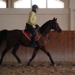 Ersted - trening halowy styczeń 2013<br />&copy; s.szczęsna