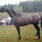 Wissea