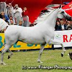 Enisia - Enisia 2005<br />&copy; Irina Filsinger