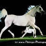 Enisia - Enisia 2005<br />&copy; Irina Filsinger