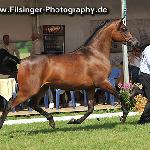 Mesalina - Mesalina 2010<br />&copy; Irina Filsinger