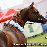 Elmaran - Elmaran 2012<br />&copy; Irina Filsinger