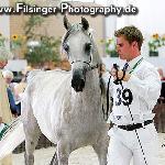 Gailardia - Gailardia 2006<br />&copy; Irina Filsinger