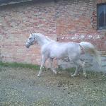 Etopton