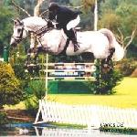 Carlos DZ - Carlos DZ - Hamburg 2001 r.