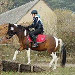 Pela - Antoniów 6.11.2015<br />&copy; Paulina Peckiel - www.peckiel.pl