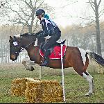 Pela - Antoniów 6.11.2015<br />&copy; Paulina Peckiel - www.peckiel.pl