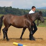 Polatucha - XIX Dni Huculskie<br />&copy; Christine Jansen