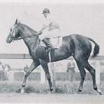 Equipoise