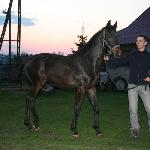 Artus<br />&copy; Śliż Katarzyna