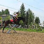 Artus