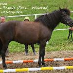 Westalka z Brzezia<br />&copy; Anna Deszczyńska