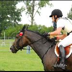 Vincent 118 - CIC** Strzegom 2009<br />&copy; Oliwia Chmielewska