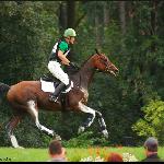 Ak's Galopper