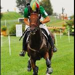Ak's Galopper