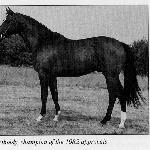 Bartholdy