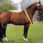 Bartholdy