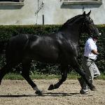 Eros<br />&copy; faraa