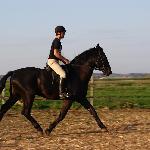 Ametyst - w siodle<br />&copy; Marek Paczkowski