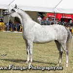 Cefeida - Cefeida 2008<br />&copy; Irina Filsinger