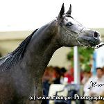 Piawea - Piawea 2005<br />&copy; Irina Filsinger