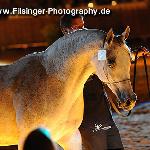 Piawea - Piawea 2012<br />&copy; Irina Filsinger