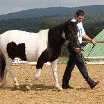 Hydra - Dni Huculskie 2009