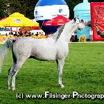 Migrant - Migrant 2006<br />&copy; Irina Filsinger