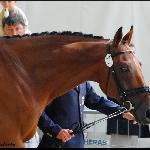 La Biosthetique-Sam FBW ex. Sam