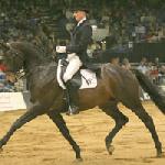 Blue Hors Hertug ex Hertug