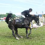 Priscilla - C.S.I.*** Sopot 2005<br />&copy; volt@