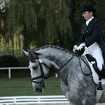 Caravagio L<br />&copy; faraa