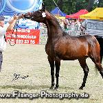 Cirsza - Cirsza 2008<br />&copy; Irina Filsinger