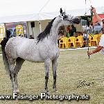 Calineczka - Calineczka 2008<br />&copy; Irina Filsinger