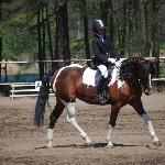 Jessica PonySport