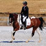 Jessica PonySport - OOM 2010<br />&copy; Katarzyna Boryna