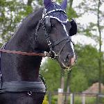 Lokan - CAI-A Gajewniki 18-20.05.2007<br />&copy; faraa