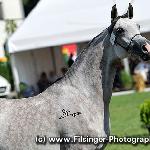 Natea - Natea 2010<br />&copy; Irina Filsinger