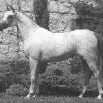 Ebora