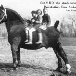 Gambo