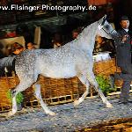 Adelina - Adelina 2011<br />&copy; Irina Filsinger