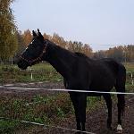 Marsylia - 2024 mazowieckie