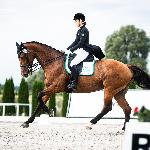 Presja<br />&copy; Julia Świętochowska<br /><i>fb dressage24.pl</i>