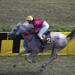Dombra - Dombra 2004