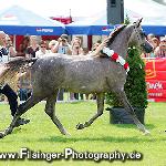 Altis - Altis 2007<br />&copy; Irina Filsinger